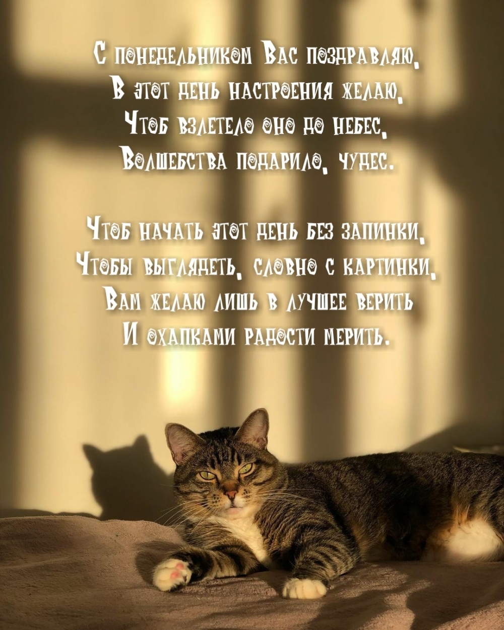 С понедельником Вас поздравляю