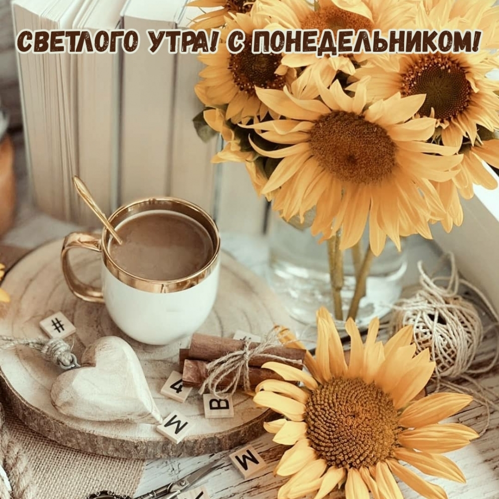 Светлого утра! С Понедельником!