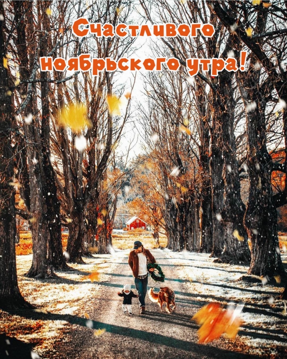 Счастливого ноябрьского утра!