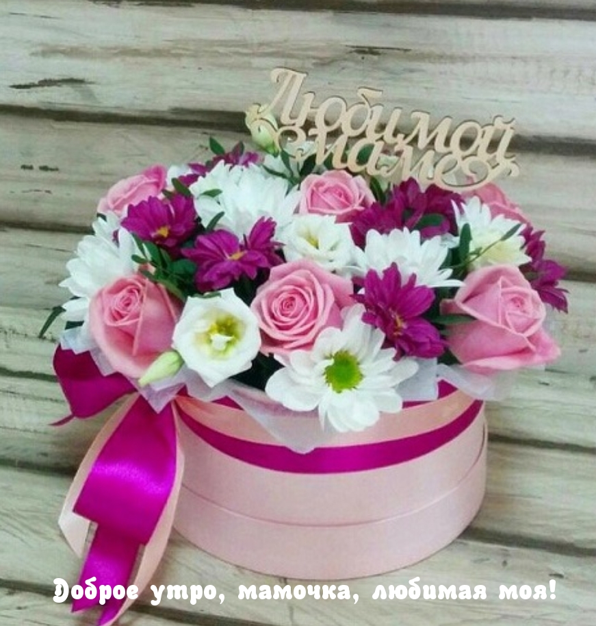 Доброе утро, мамочка, любимая моя!