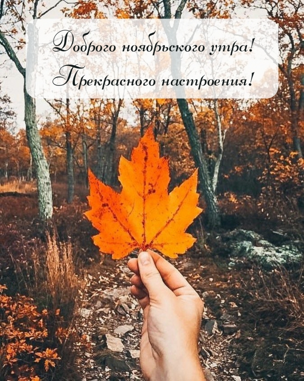 Доброго ноябрьского утра! Прекрасного настроения!