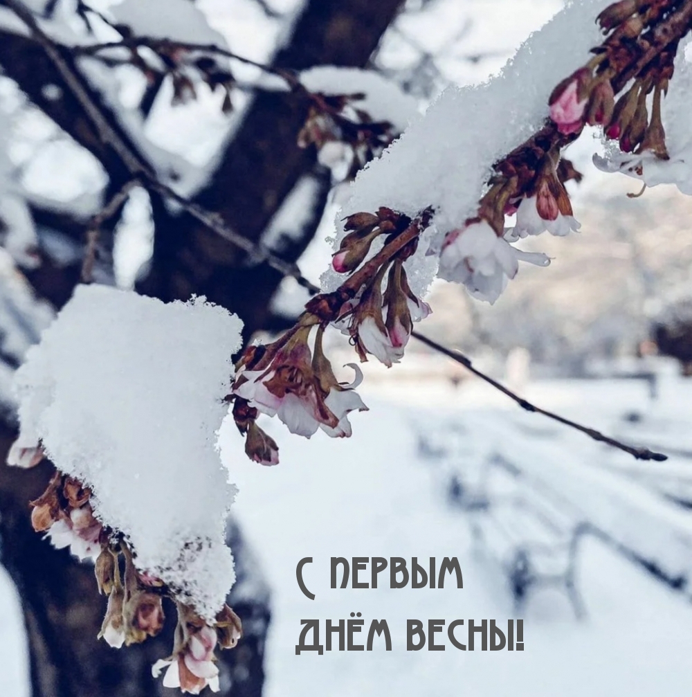 С первым днём весны!