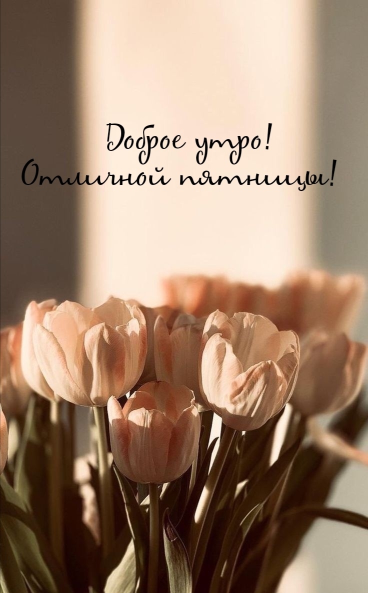 Доброе утро! Отличной пятницы!