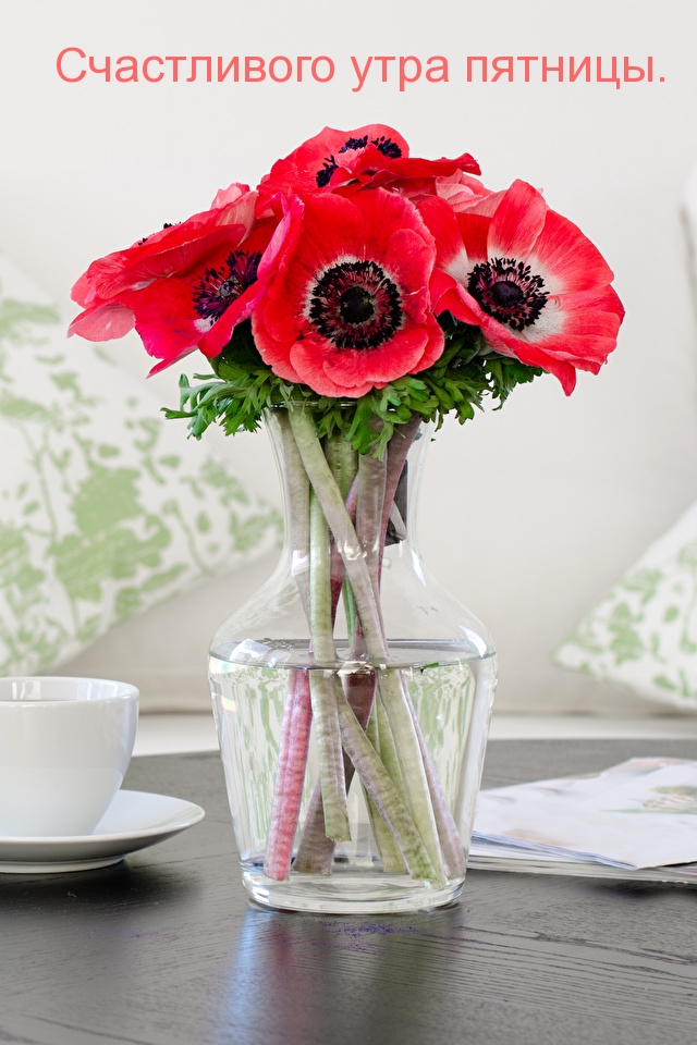 Счастливого утра пятницы.