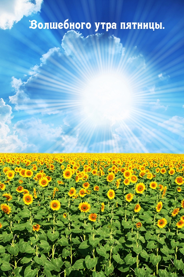 Волшебного утра пятницы.