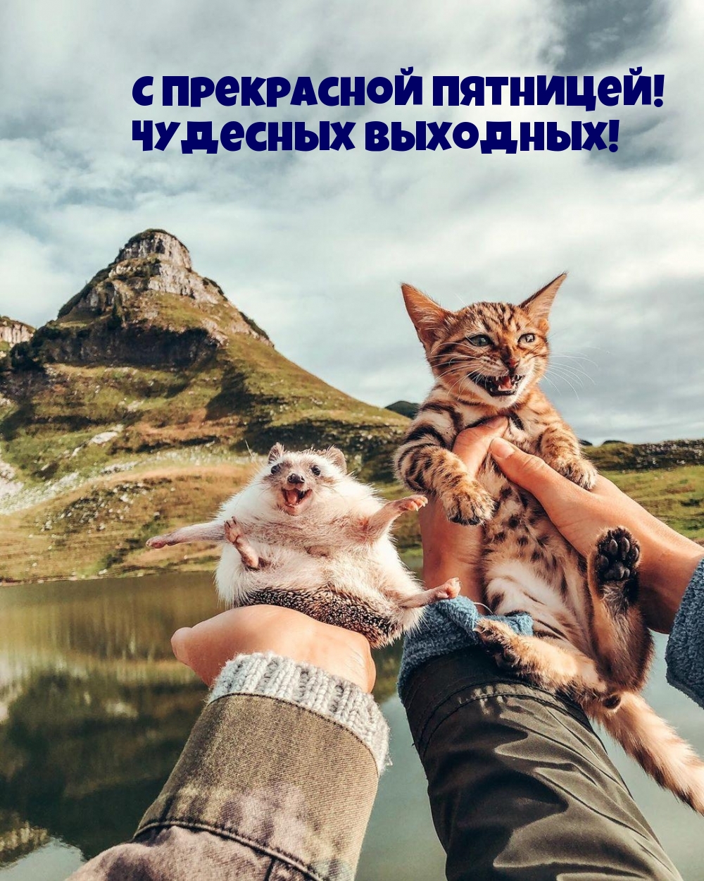 С прекрасной пятницей! Чудесных выходных!