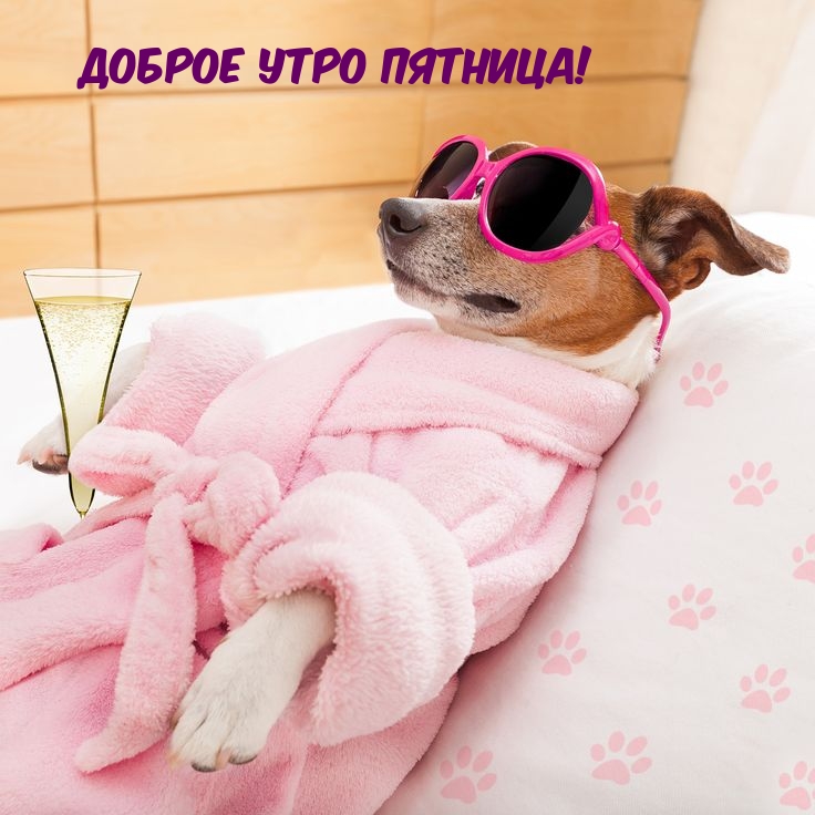 Доброе утро пятница!