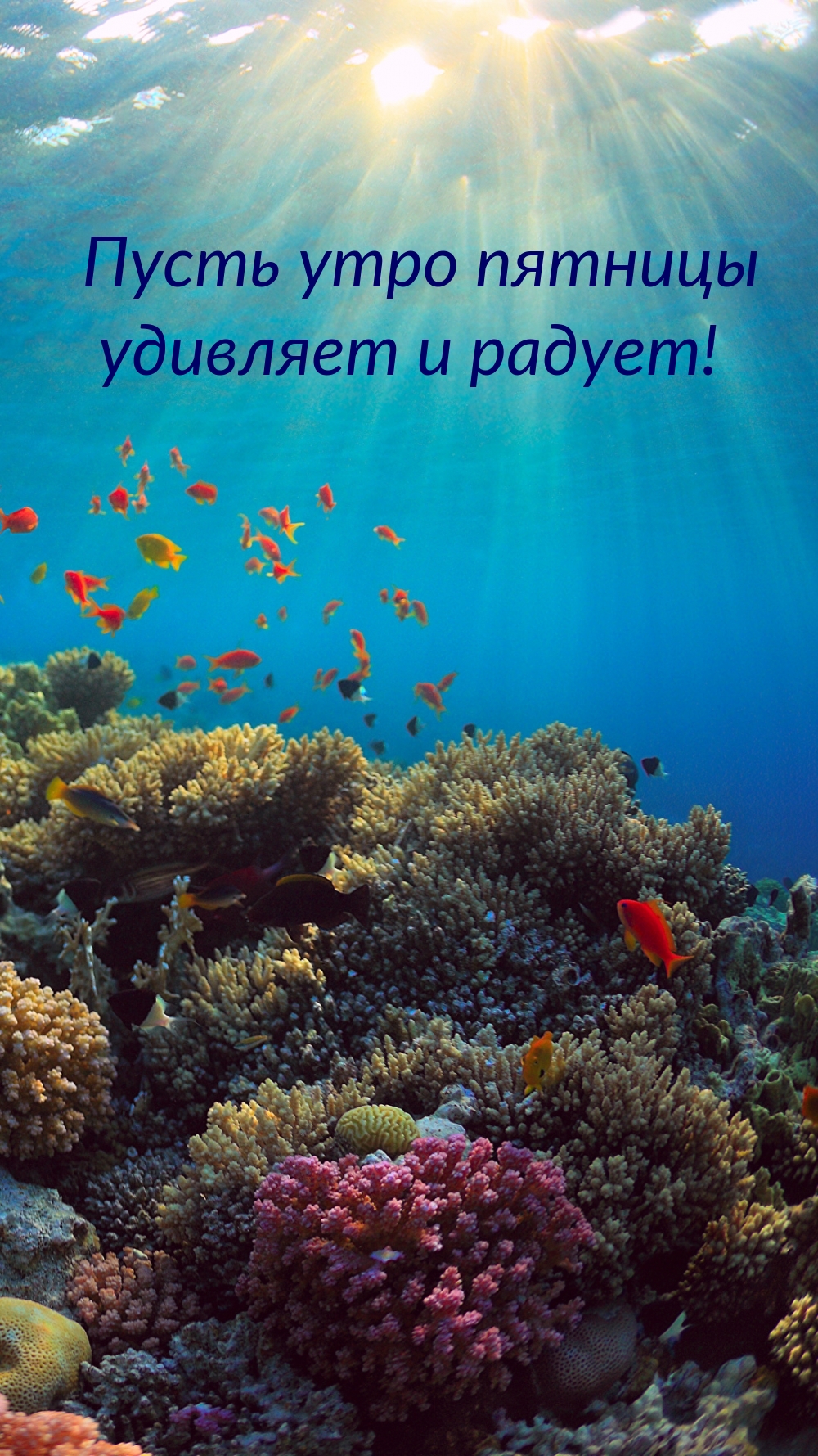 Пусть утро пятницы удивляет и радует!