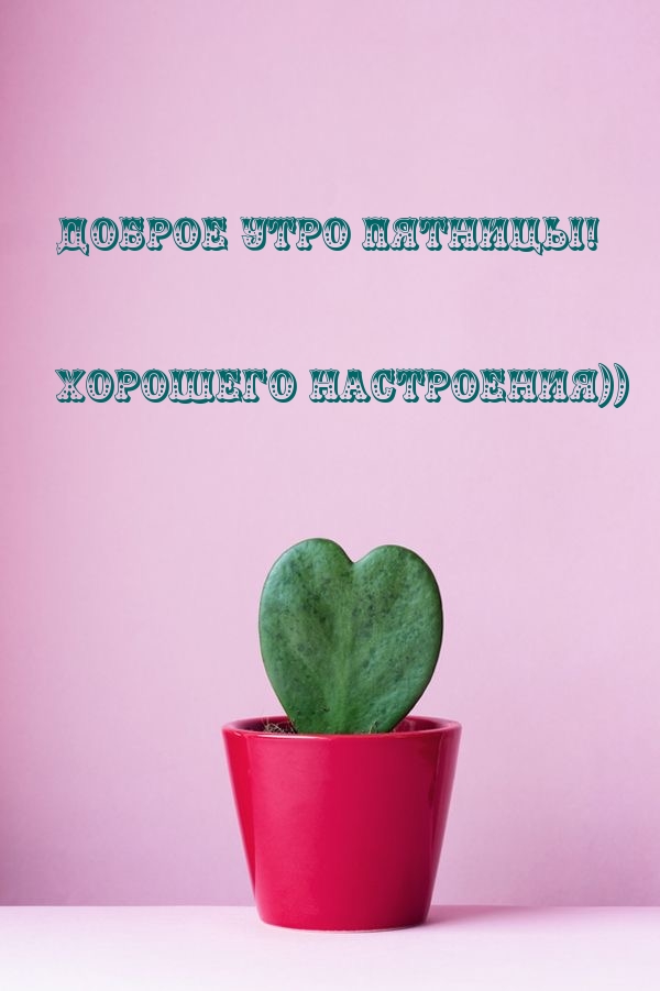 Доброе утро пятницы! Хорошего настроения))