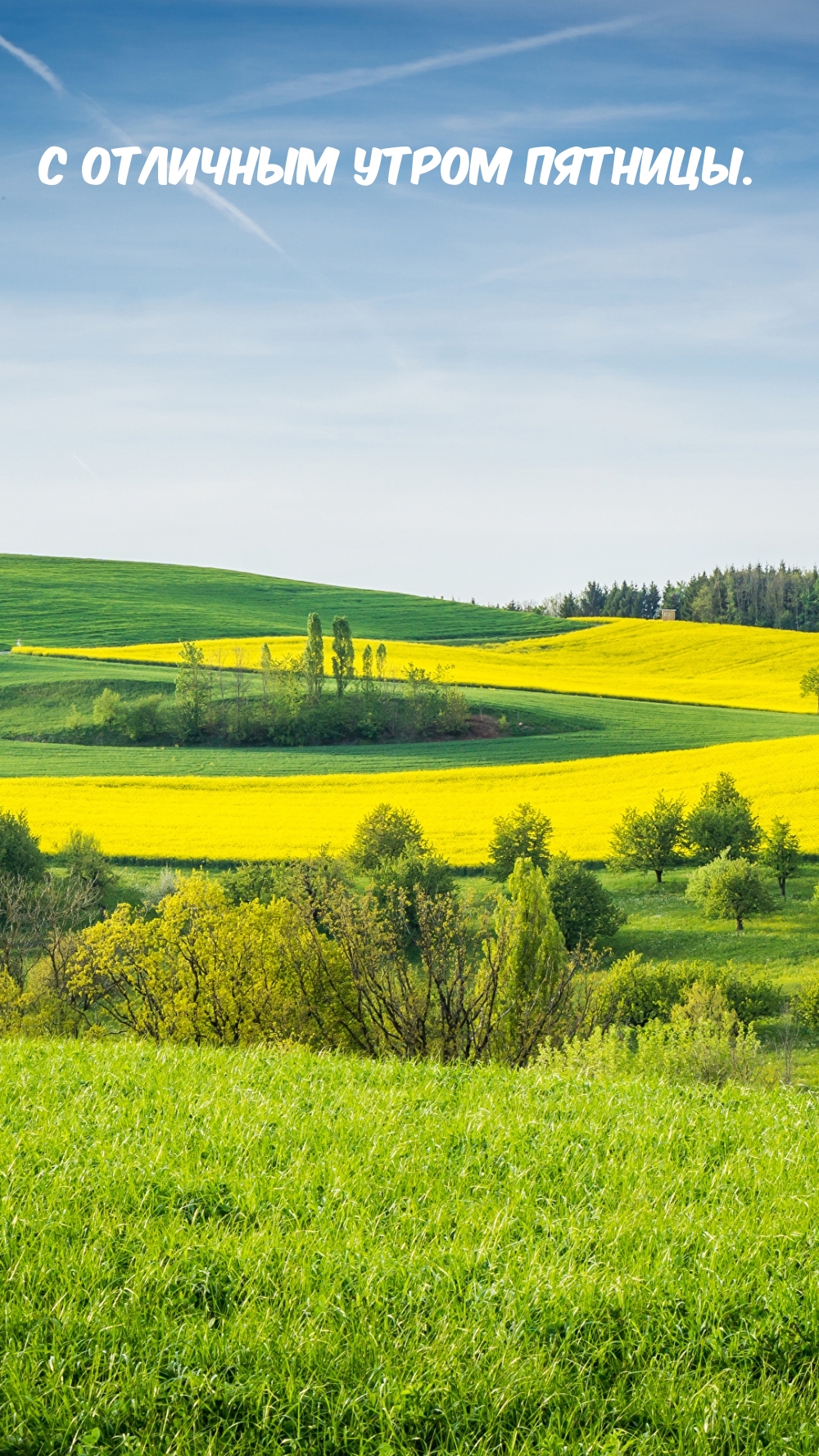 С отличным утром пятницы.
