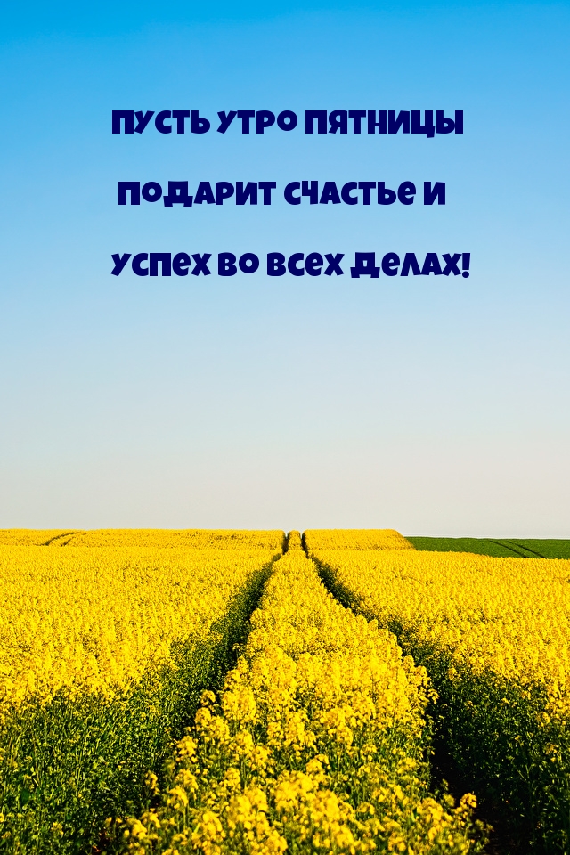 Пусть утро пятницы подарит счастье и успех во всех делах!