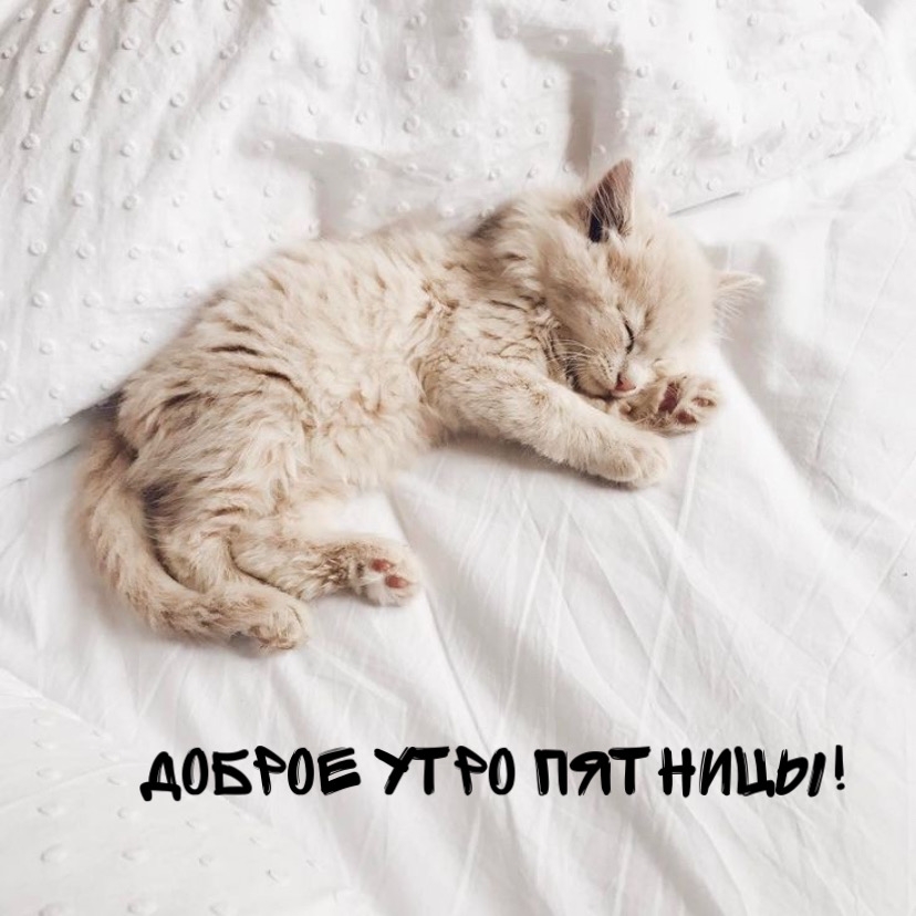 Доброе утро пятницы!