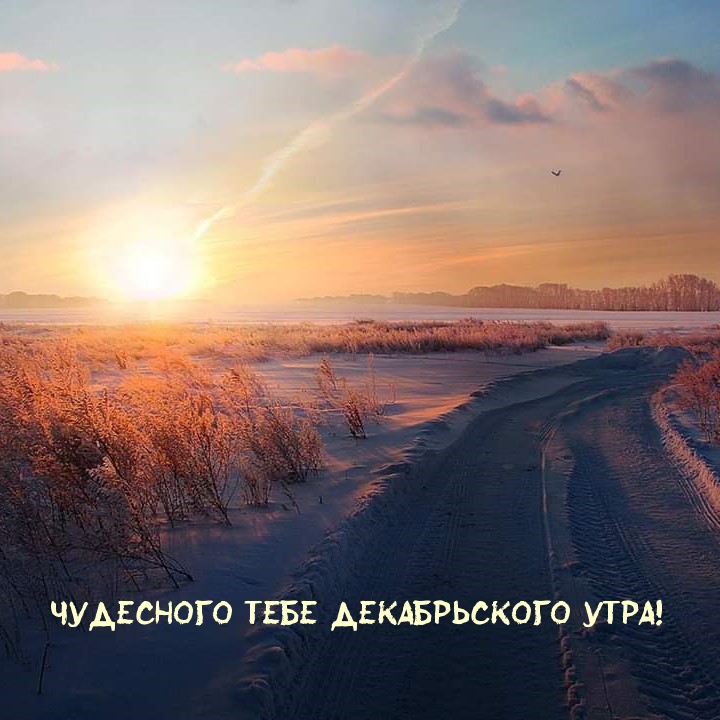 Чудесного тебе декабрьского утра!