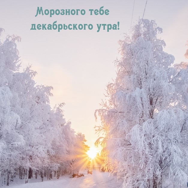 Морозного тебе декабрьского утра!