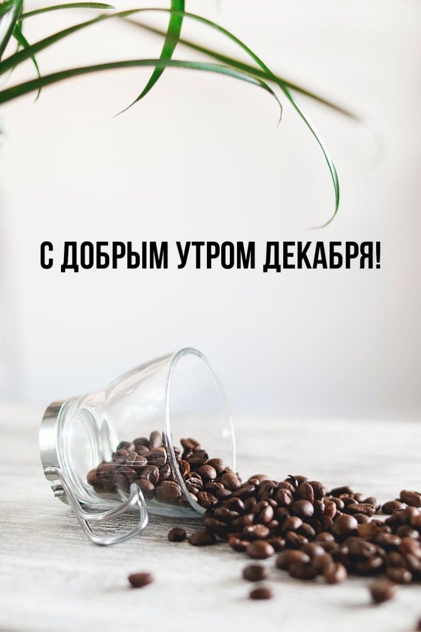 С добрым утром декабря!