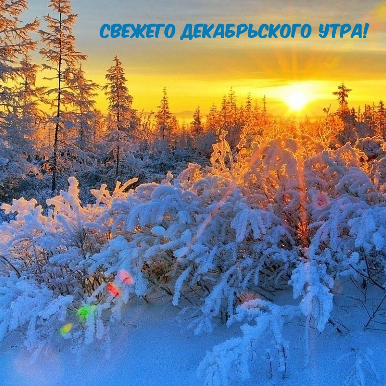 Свежего декабрьского утра!