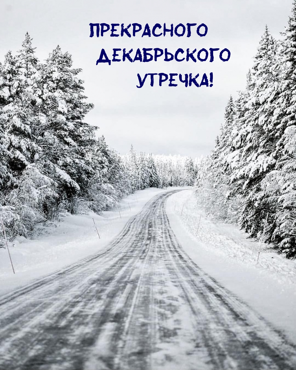Прекрасного декабрьского утречка!