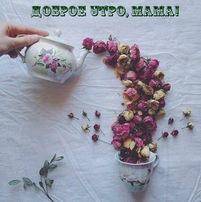 Доброе утро, мама!