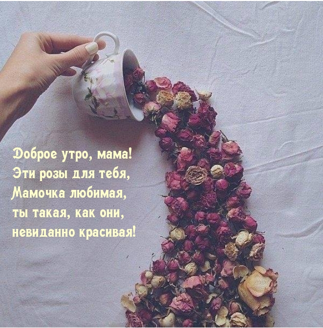 Доброе утро, мама!  Эти розы для тебя