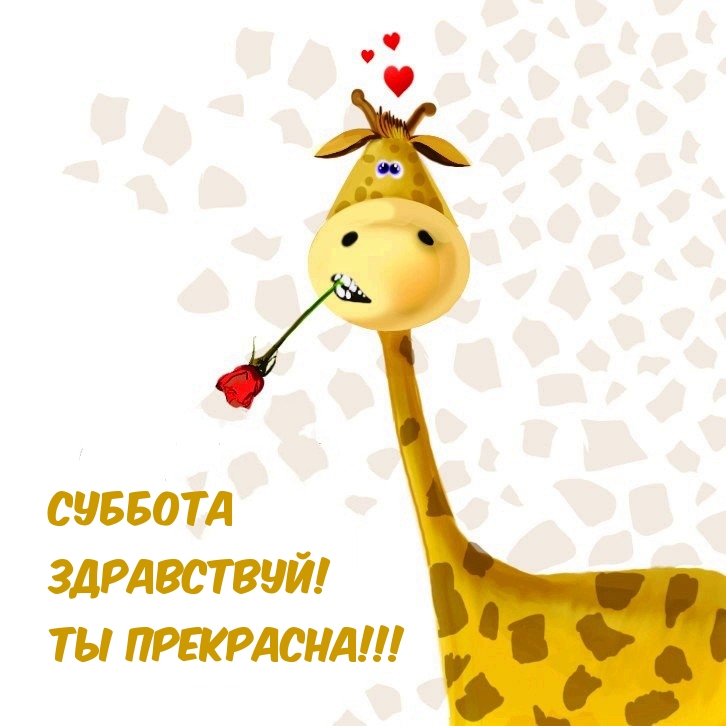 Суббота здравствуй! Ты прекрасна!
