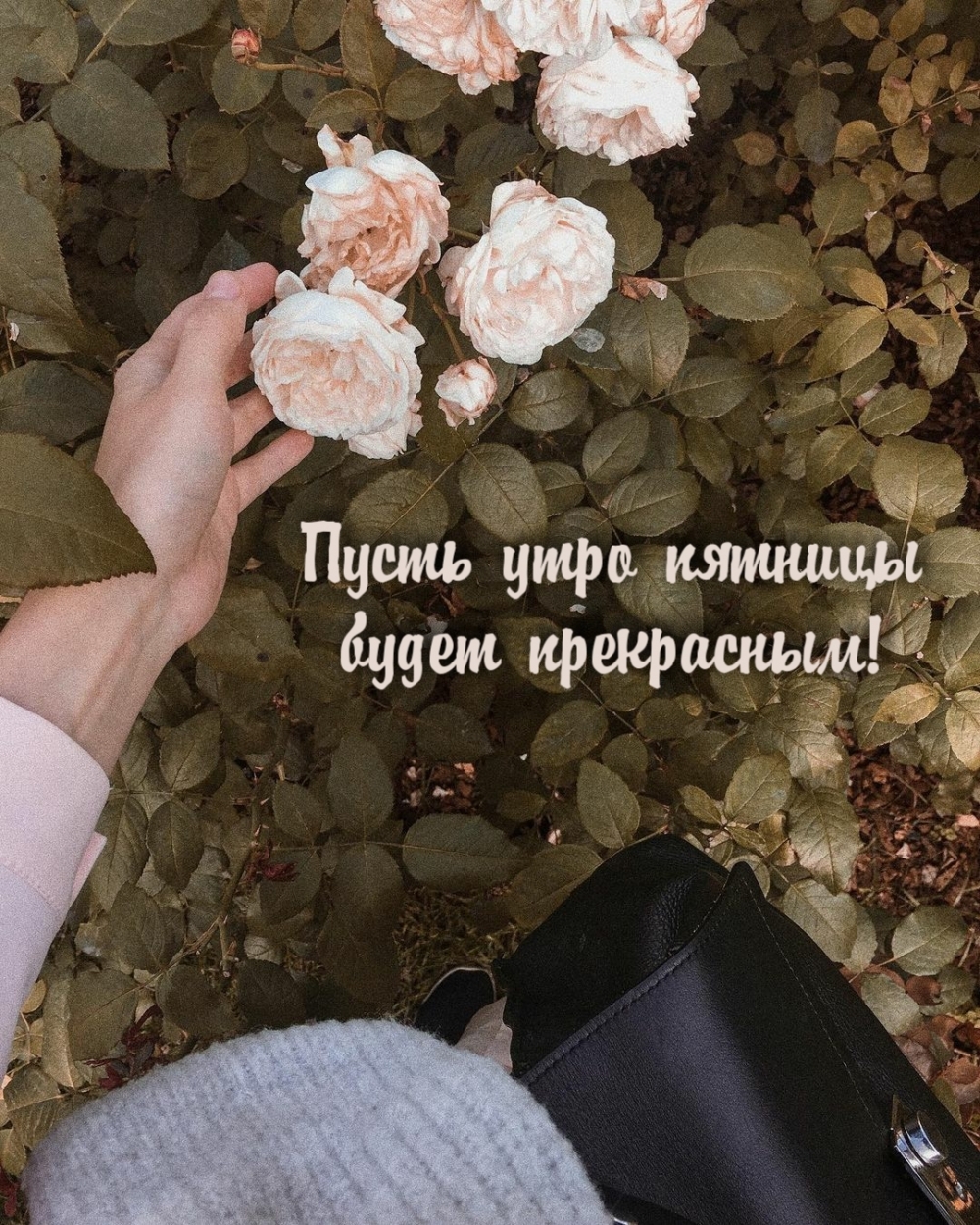 Пусть утро пятницы будет прекрасным!