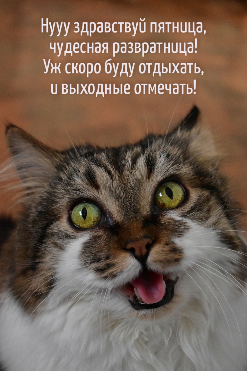 Нууу здравствуй пятница, чудесная развратница!