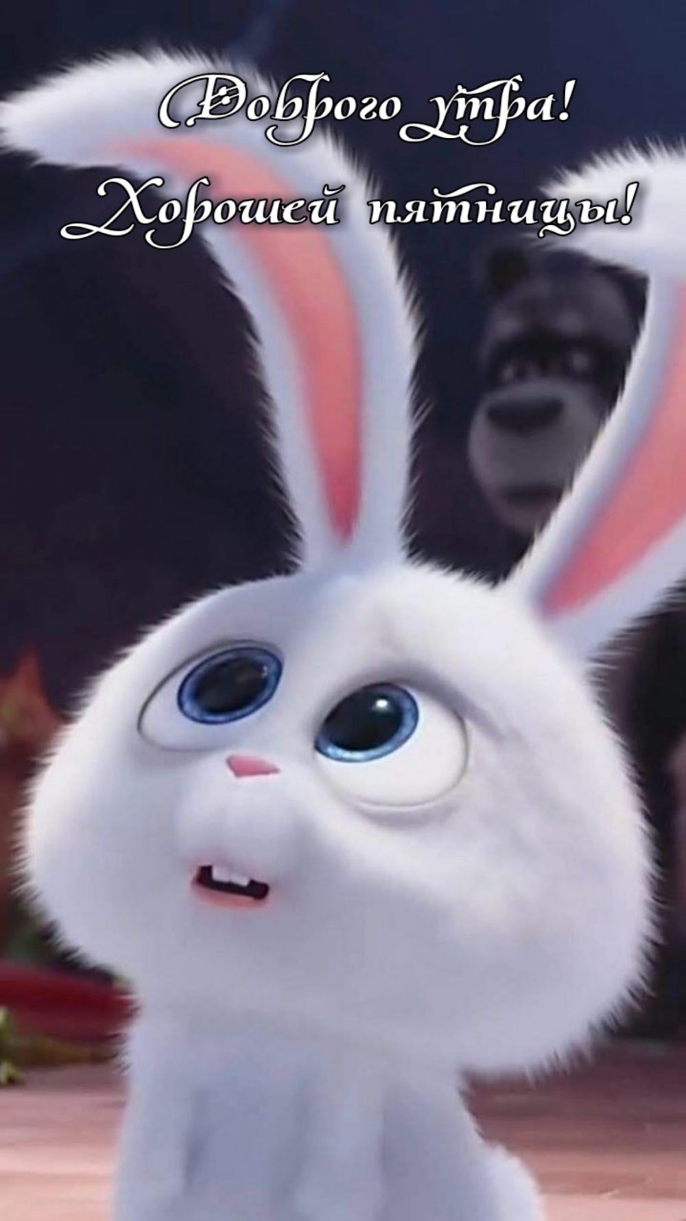 Доброго утра! Хорошей пятницы!