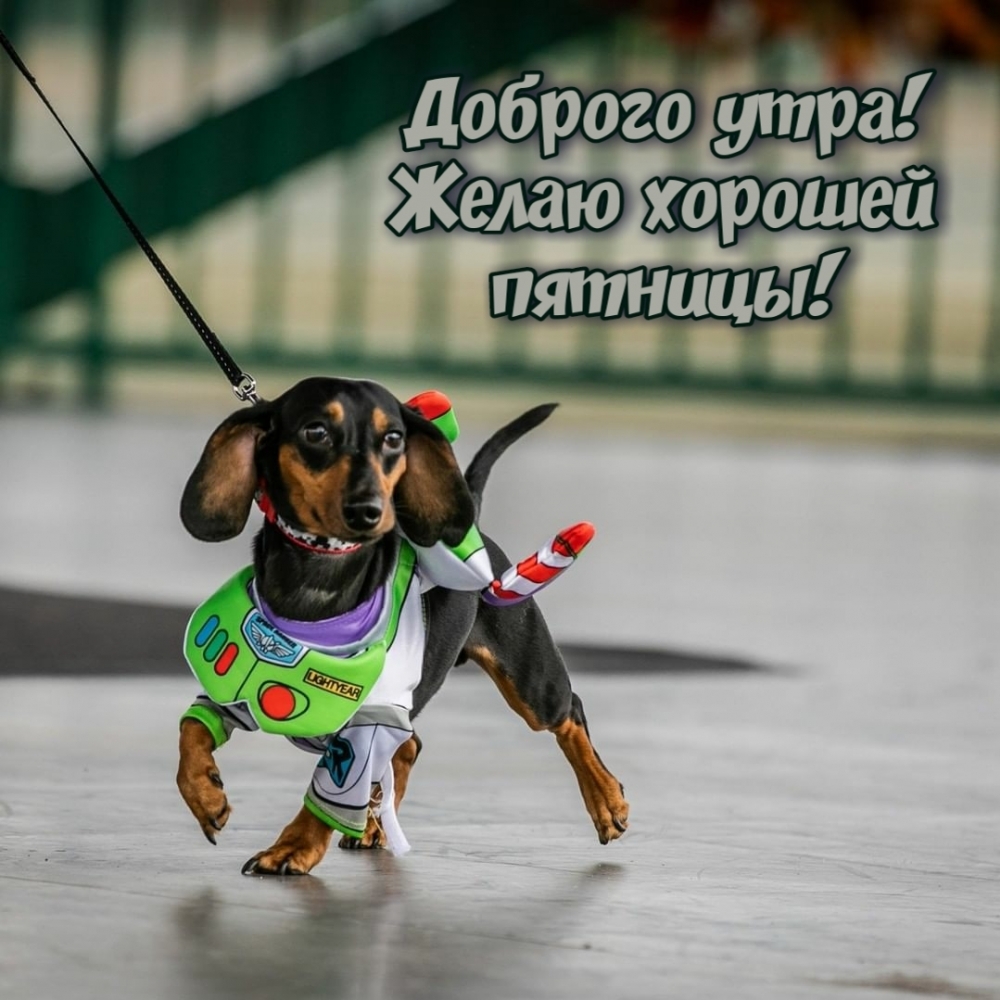 Доброго утра! Желаю хорошей пятницы!