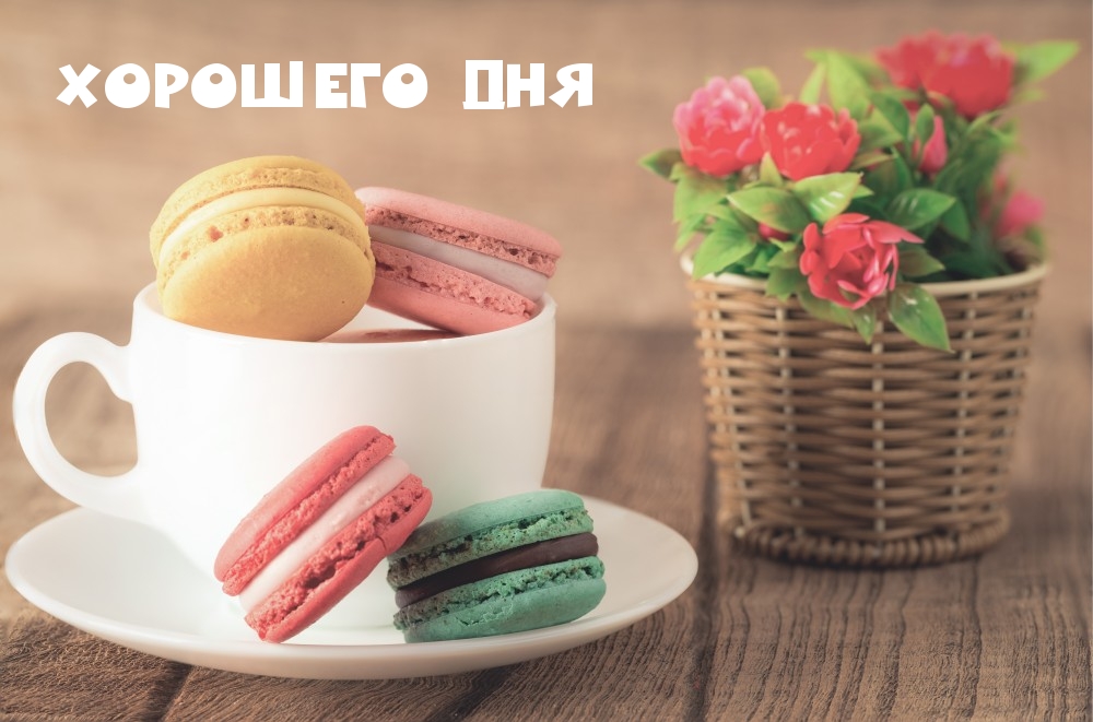 Хорошего дня!