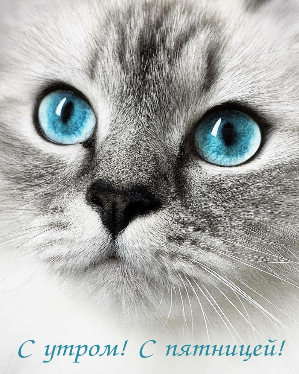 С утром! С пятницей!