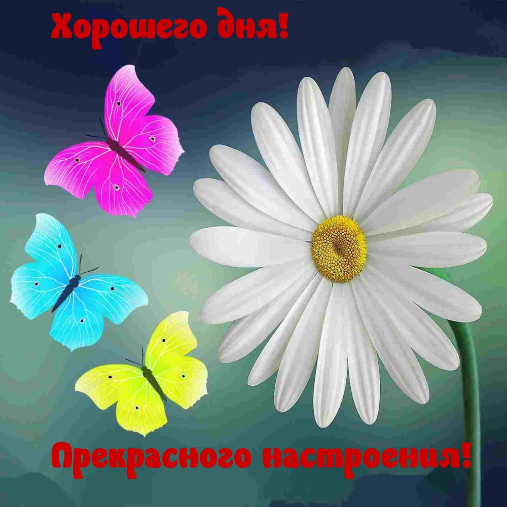 Хорошего дня! Прекрасного настроения!