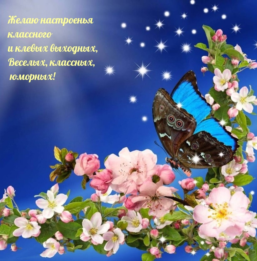 Желаю настроенья классного и клевых выходных