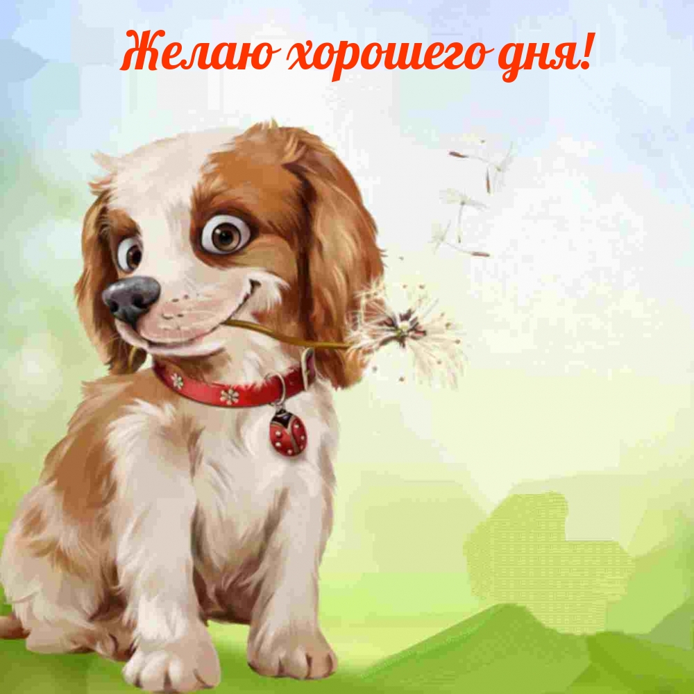 Желаю хорошего дня!