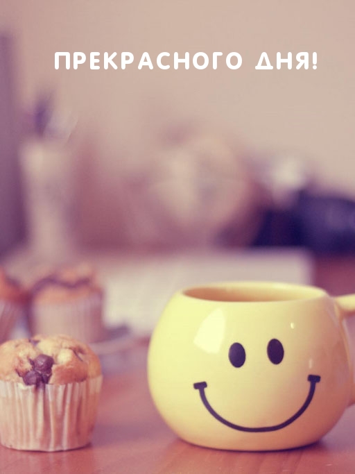 ПРЕКРАСНОГО ДНЯ!