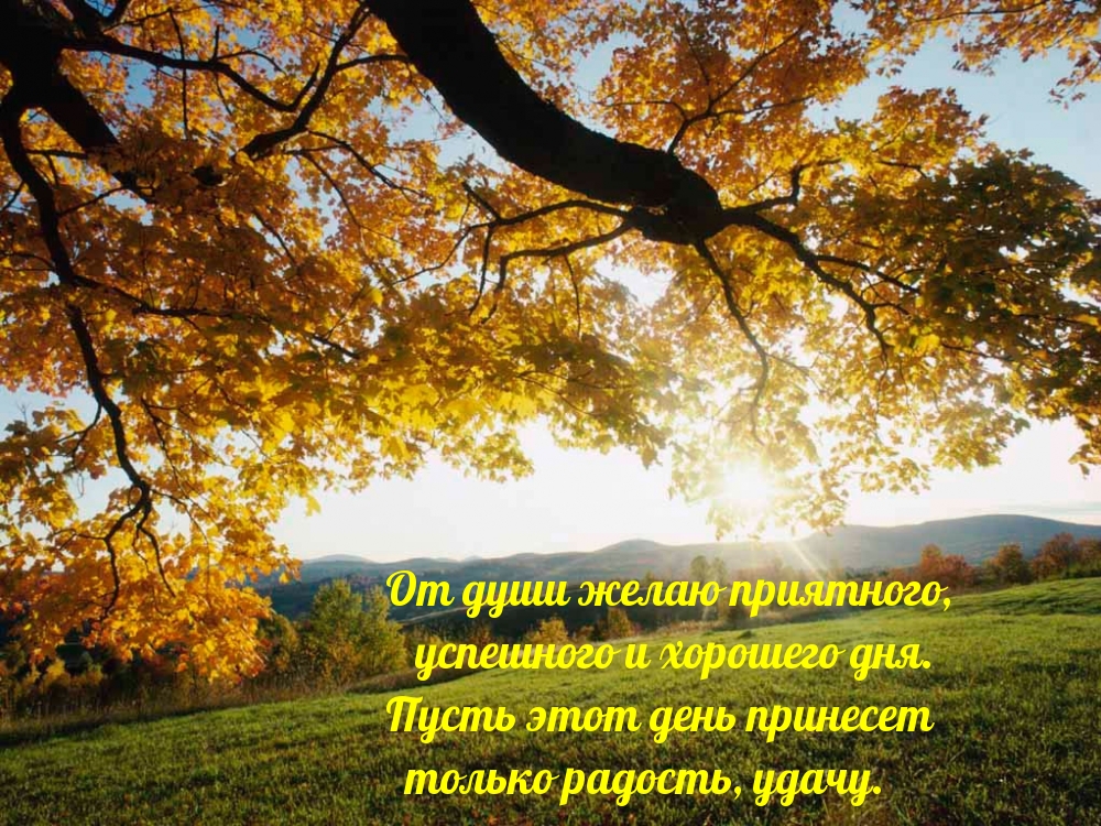 От души желаю приятного, успешного и хорошего дня
