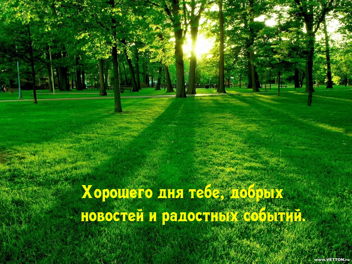 Хорошего дня тебе, добрых новостей и радостных событий.