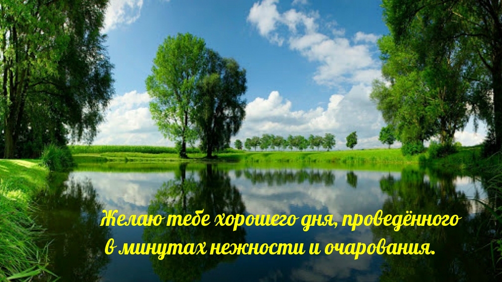 Желаю тебе хорошего дня!