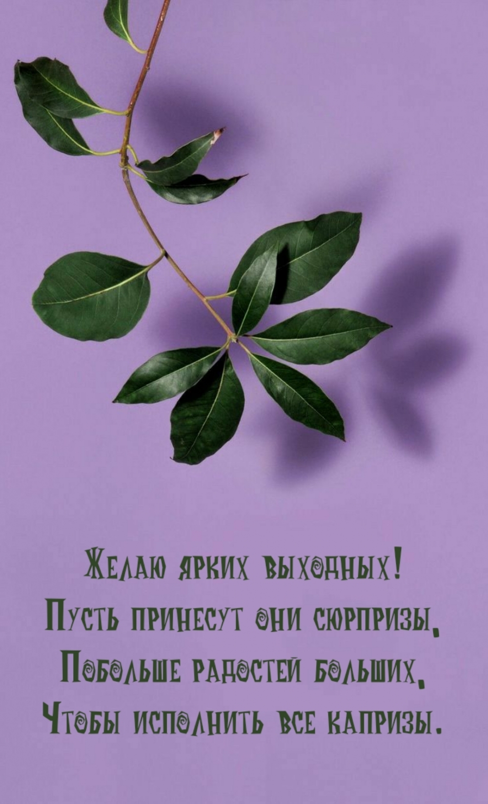Картинка - Желаю ярких выходных!.