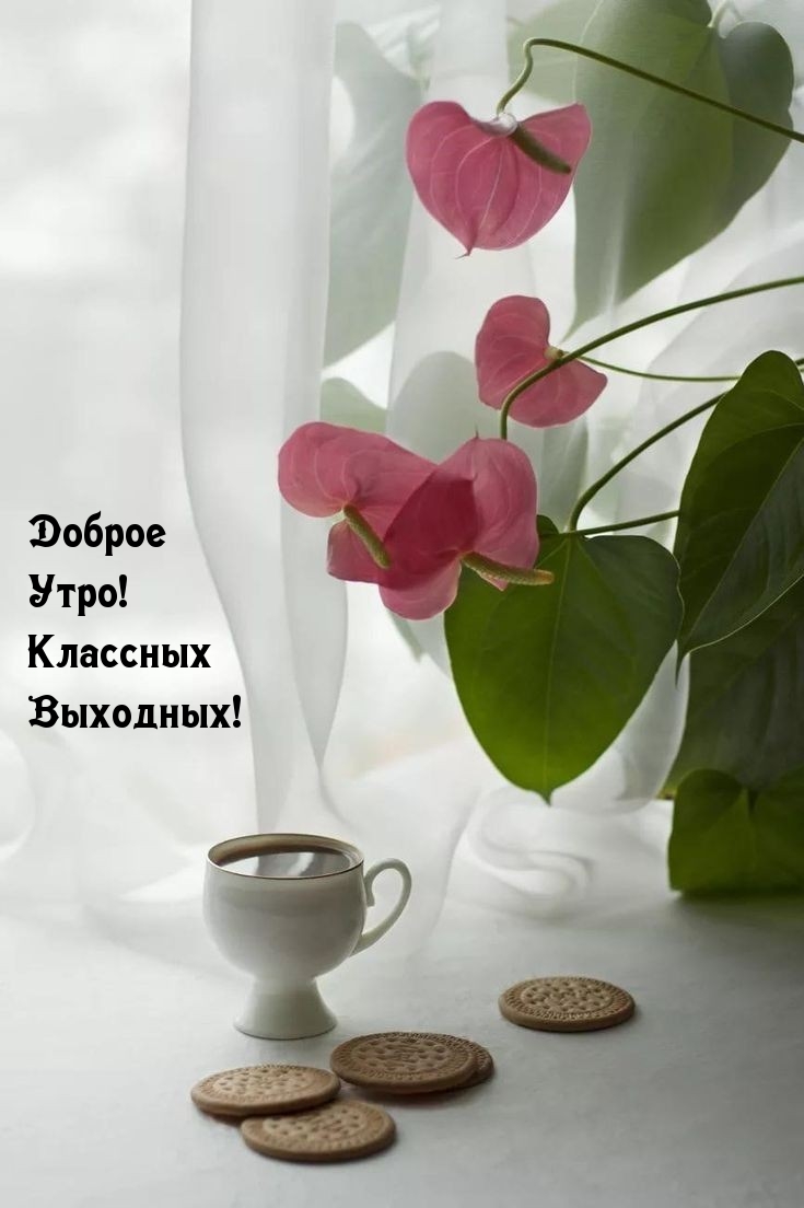 Доброе Утро! Классных Выходных!