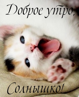 Доброе утро, солнышко!