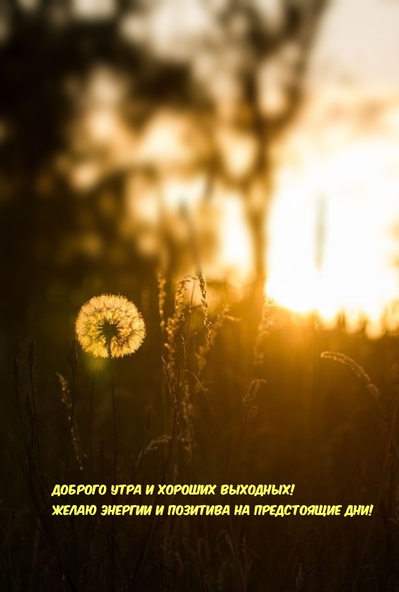 Доброго утра и хороших выходных!