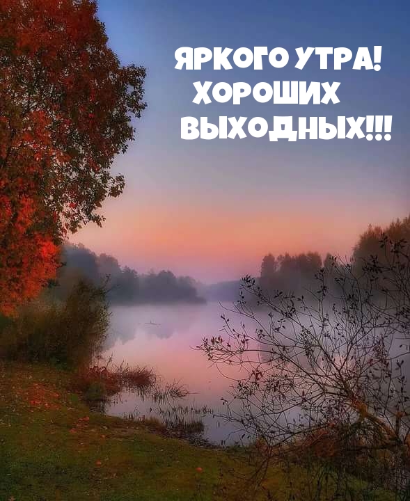 Яркого утра! Хороших выходных!