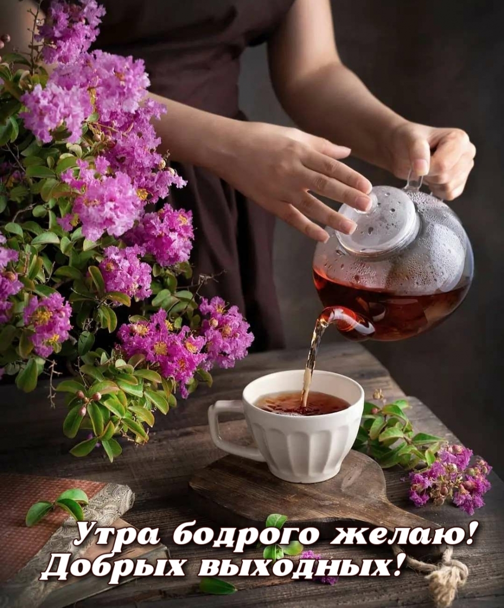 Утра бодрого желаю! Добрых выходных!