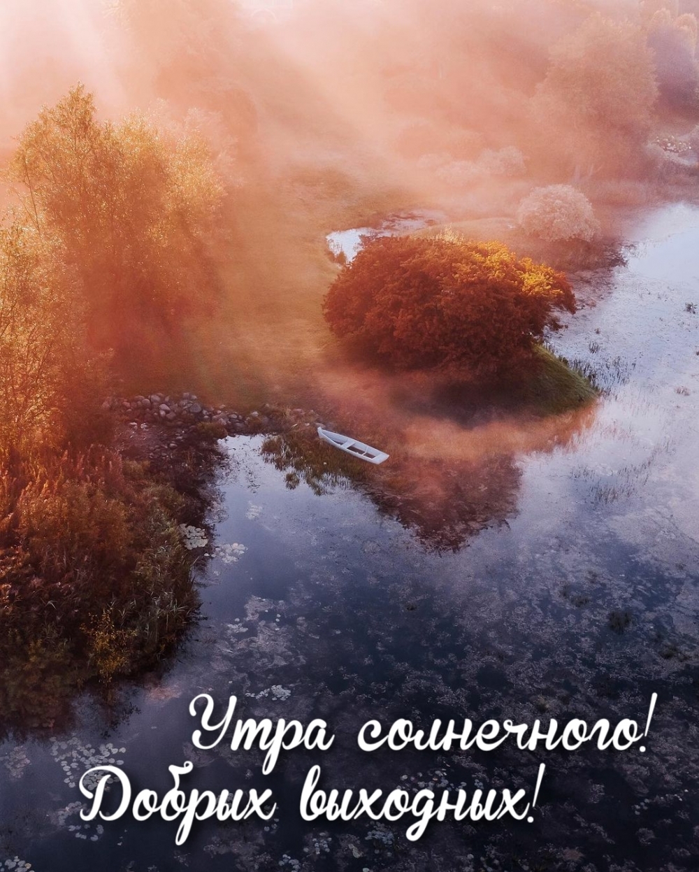 Утра солнечного! Добрых выходных!