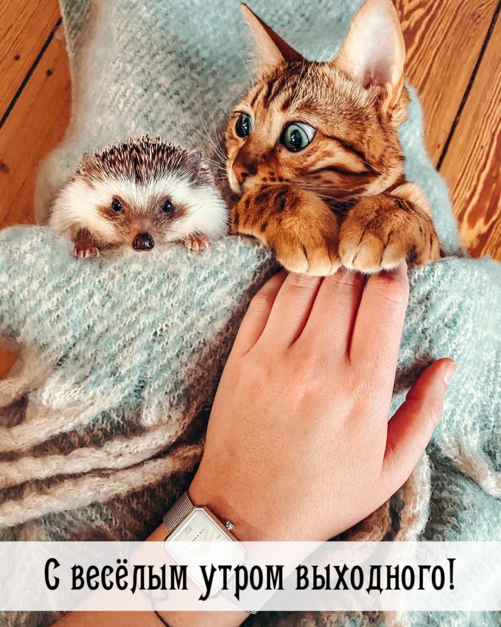 С весёлым утром выходного!