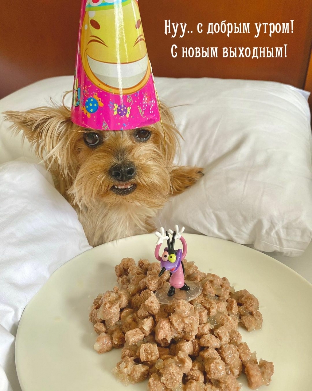 Нуу.. с добрым утром! С новым выходным!