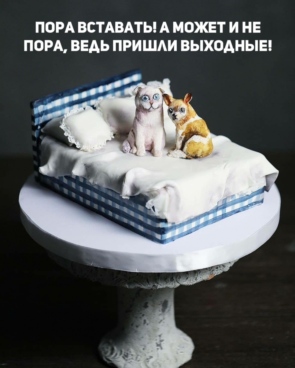Пора вставать! А может и не пора, ведь пришли выходные!