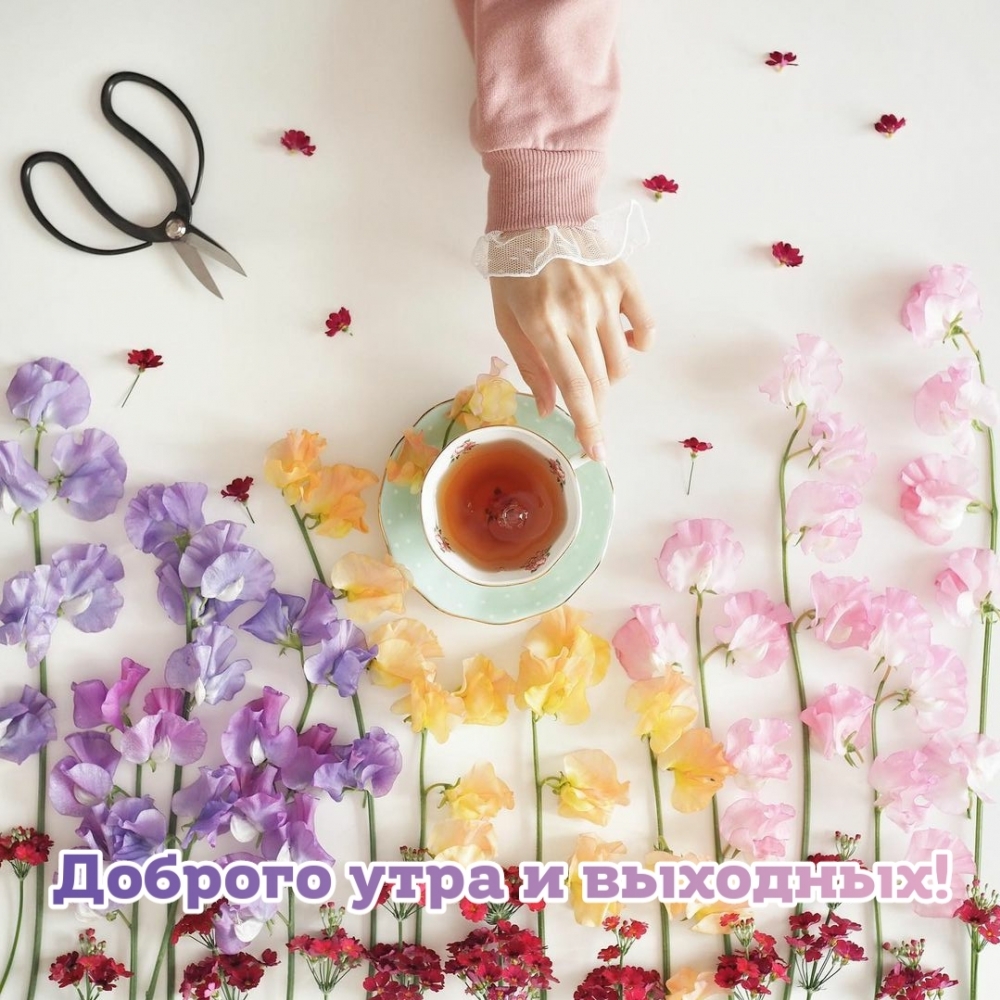 Доброго утра и выходных!