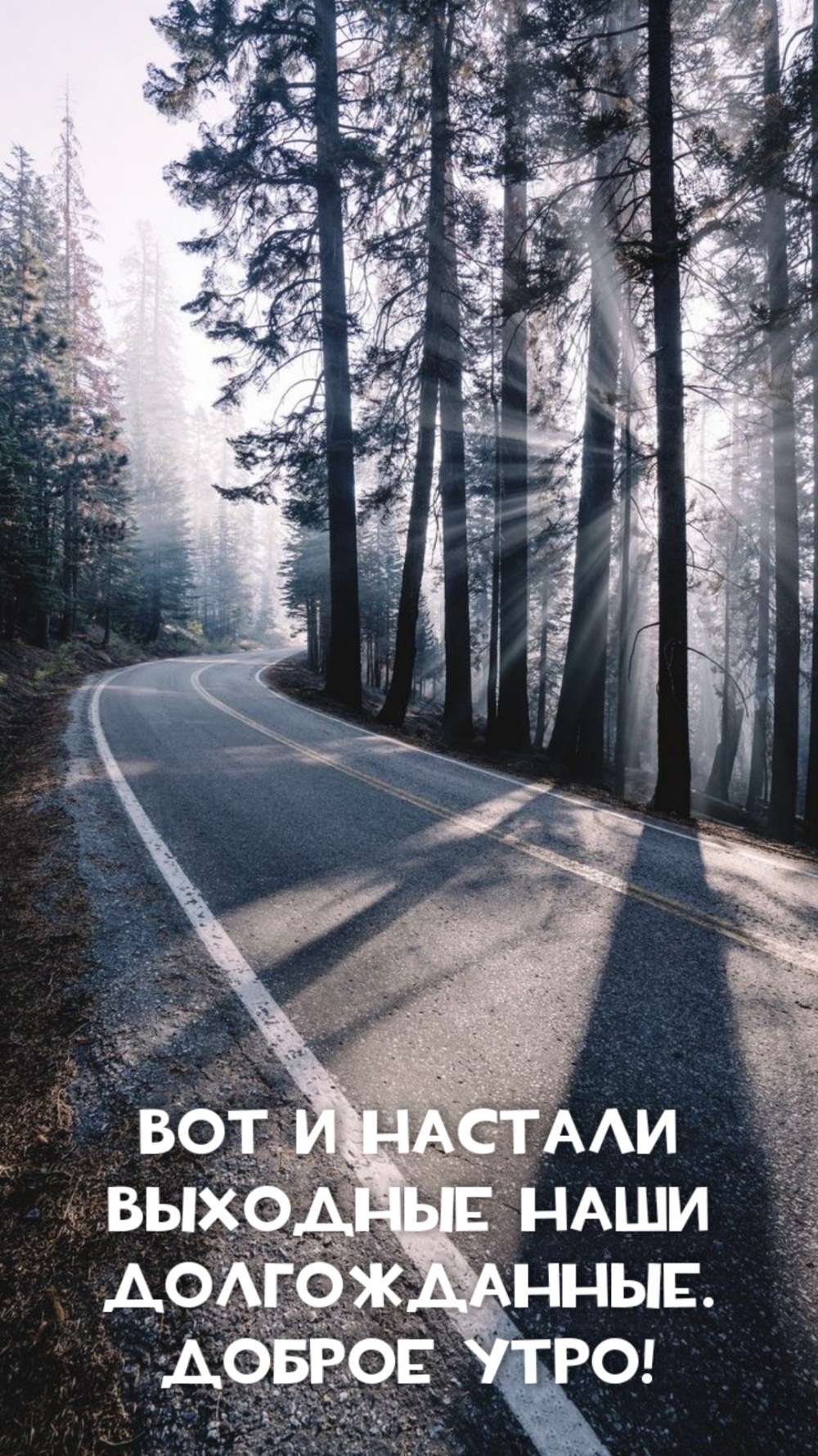 Вот и настали выходные наши долгожданные. Доброе утро!