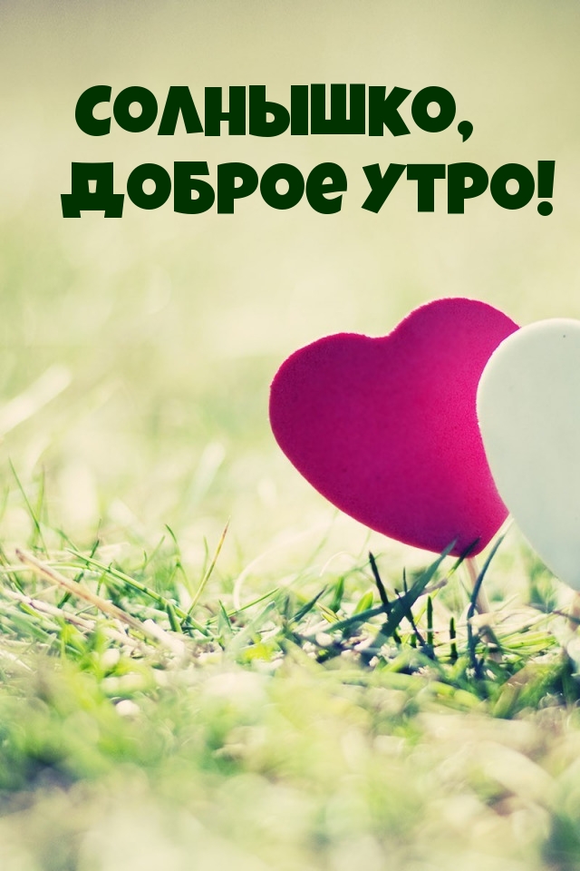 Солнышко, доброе утро!